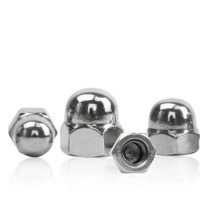 Cap Nuts 1587